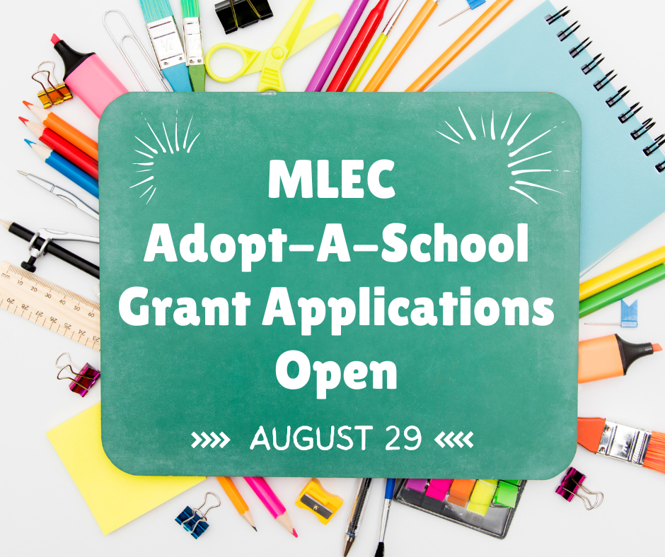 MLEC_AAS '25 Deadline