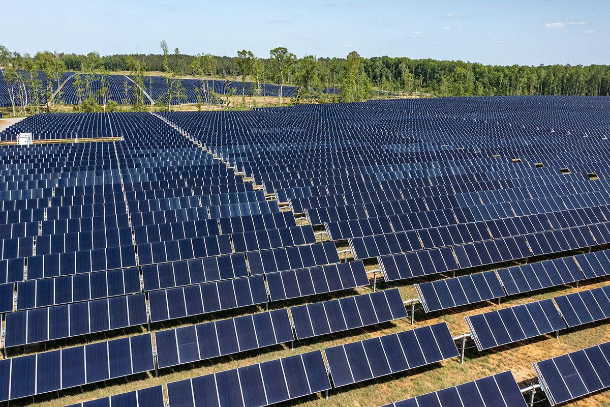 SolarField_MustSource_SiliconRanch_web